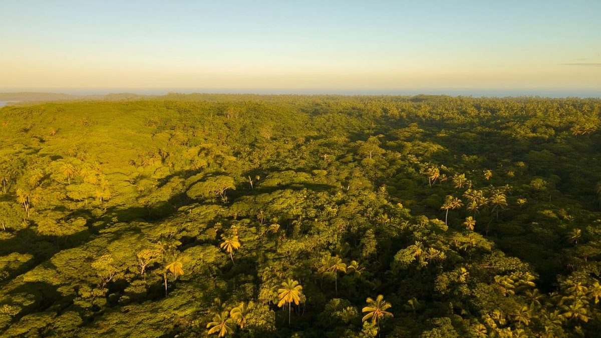 Voos para Foz do Iguaçu a partir de R$ 474 ida e volta